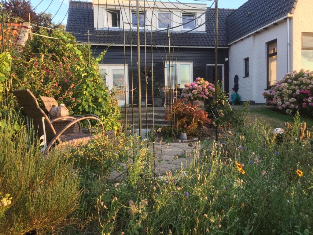 T Huuske Tuinappartement Met Fantastisch Uitzicht, Nabij Zee Zonnemaire Buitenkant foto