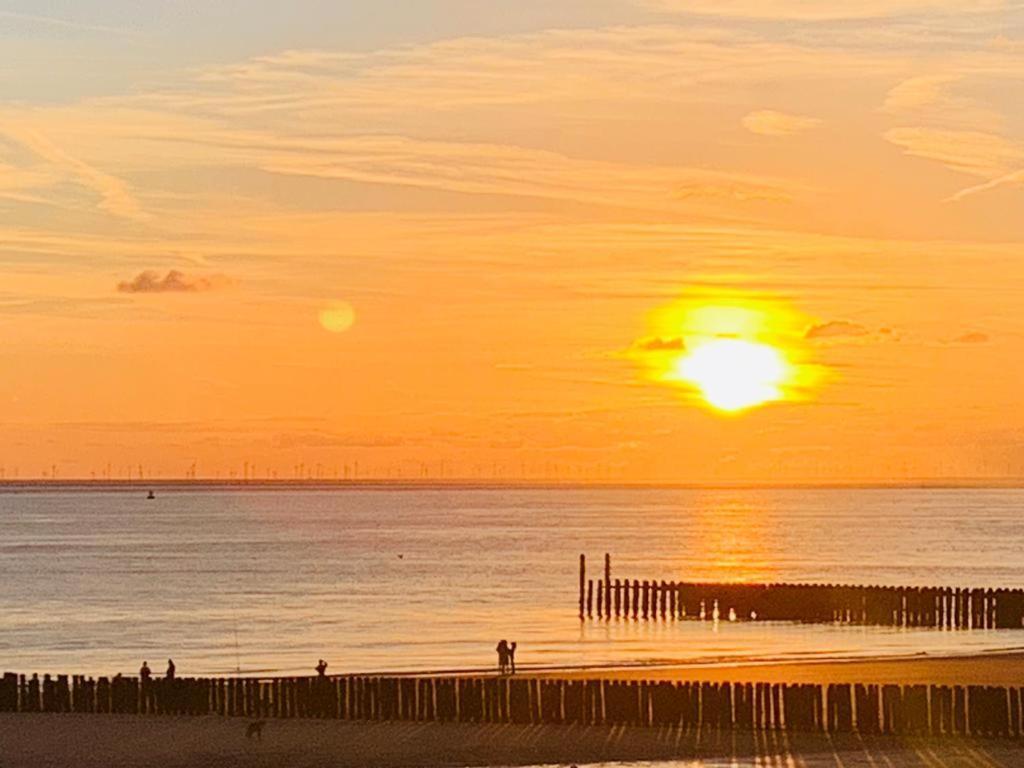 T Huuske Tuinappartement Met Fantastisch Uitzicht, Nabij Zee Zonnemaire Buitenkant foto