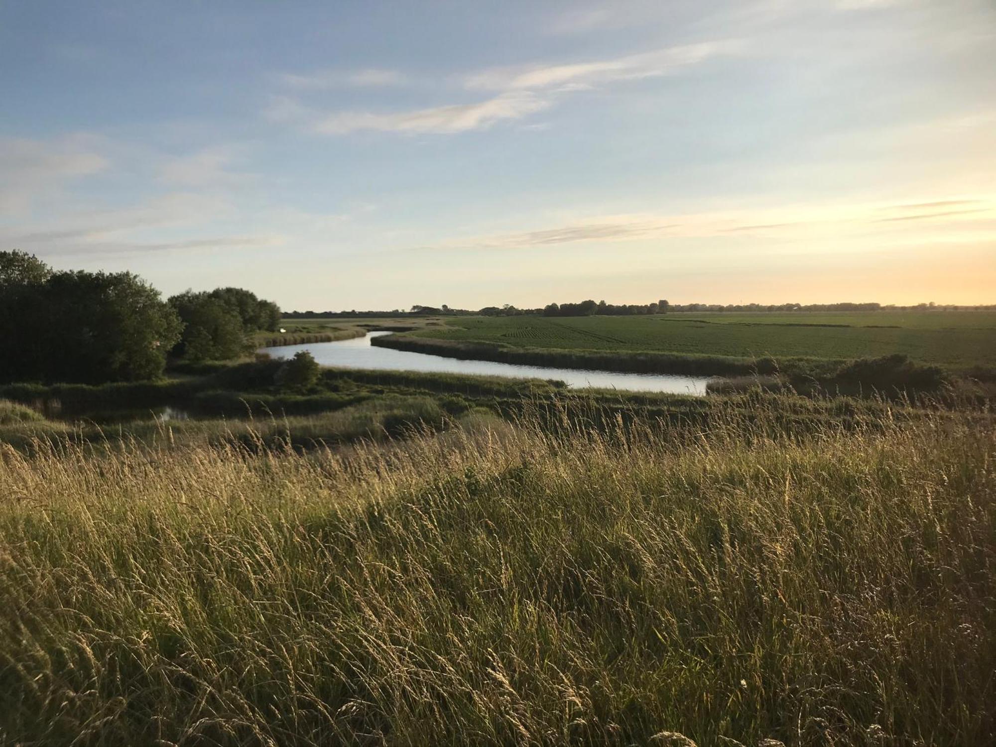 T Huuske Tuinappartement Met Fantastisch Uitzicht, Nabij Zee Zonnemaire Buitenkant foto