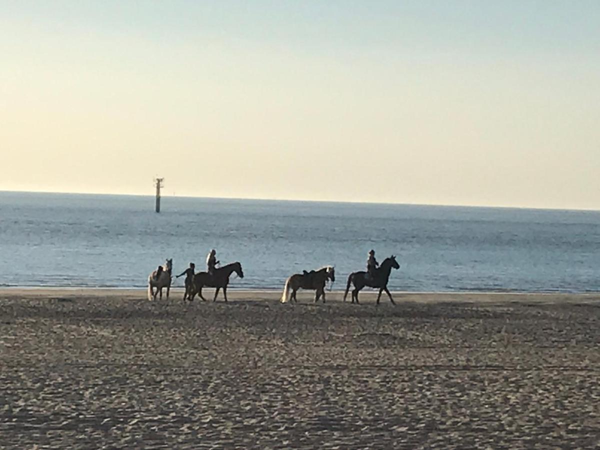 T Huuske Tuinappartement Met Fantastisch Uitzicht, Nabij Zee Zonnemaire Buitenkant foto