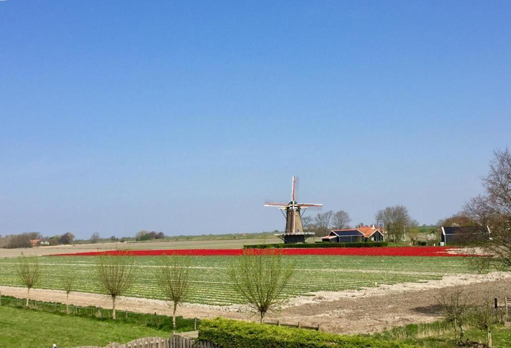 T Huuske Tuinappartement Met Fantastisch Uitzicht, Nabij Zee Zonnemaire Buitenkant foto