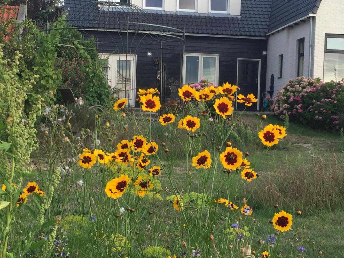 T Huuske Tuinappartement Met Fantastisch Uitzicht, Nabij Zee Zonnemaire Buitenkant foto