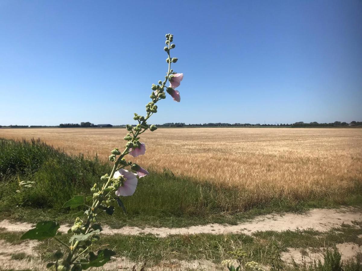 T Huuske Tuinappartement Met Fantastisch Uitzicht, Nabij Zee Zonnemaire Buitenkant foto